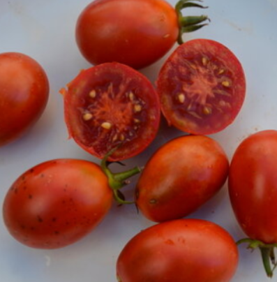 Сорта томата с необычной цветовой окраской,советы как выбрать