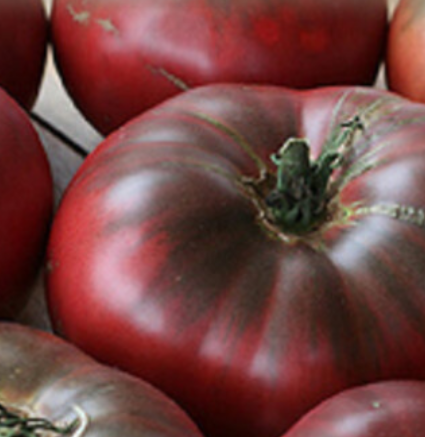Советы как выбрать новый сорт томата с необычной окраской