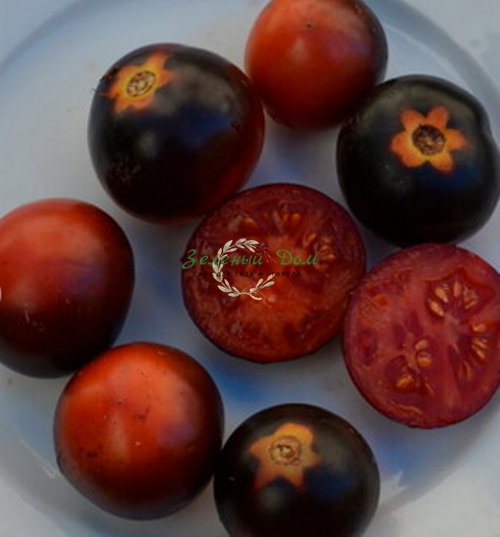 Сорта томатов с необычной цветовой окраской, советы
