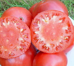 сорта томатов с необычной окраской