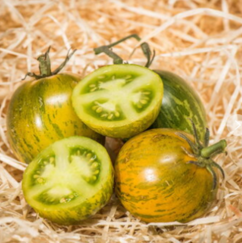 зеленые сорта томатов с необычной пестротой