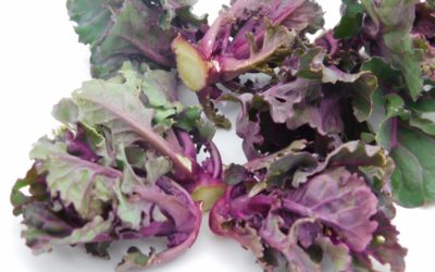Выращивание редких овощей: капуста Брюкейл или листовая брюссельская капуста.