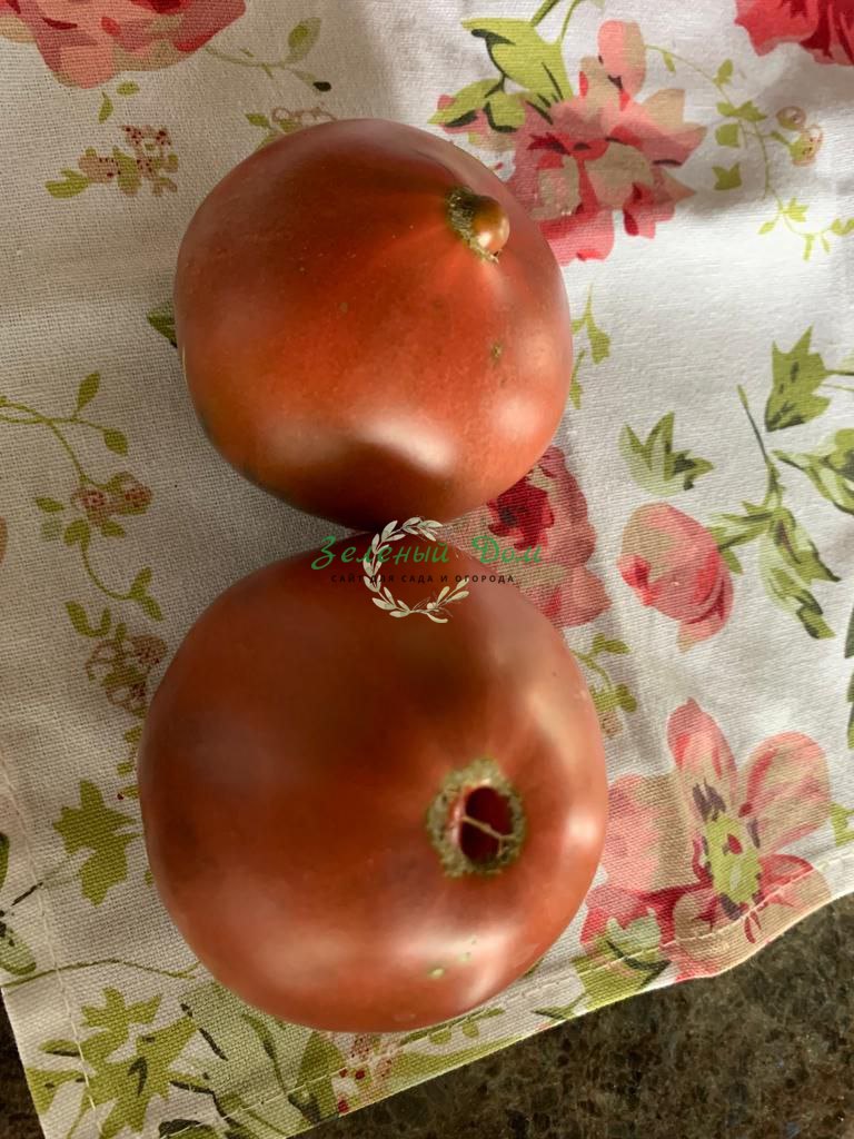 Огород для начинающих, томаты